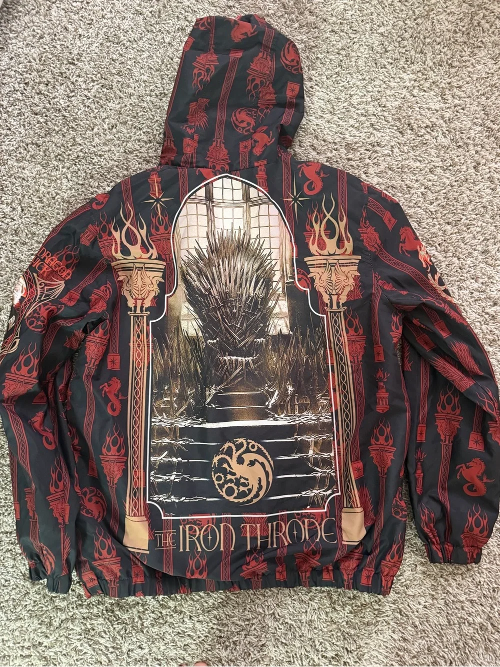 House of the Dragon Graphic Hoodie - Multi-Color Dragon Design